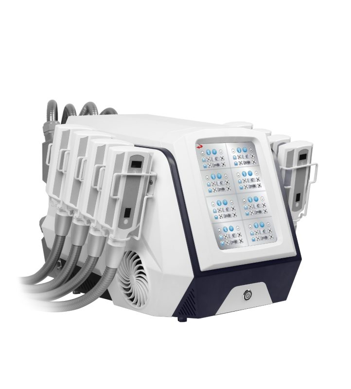 IceSculpting LaserRent 3