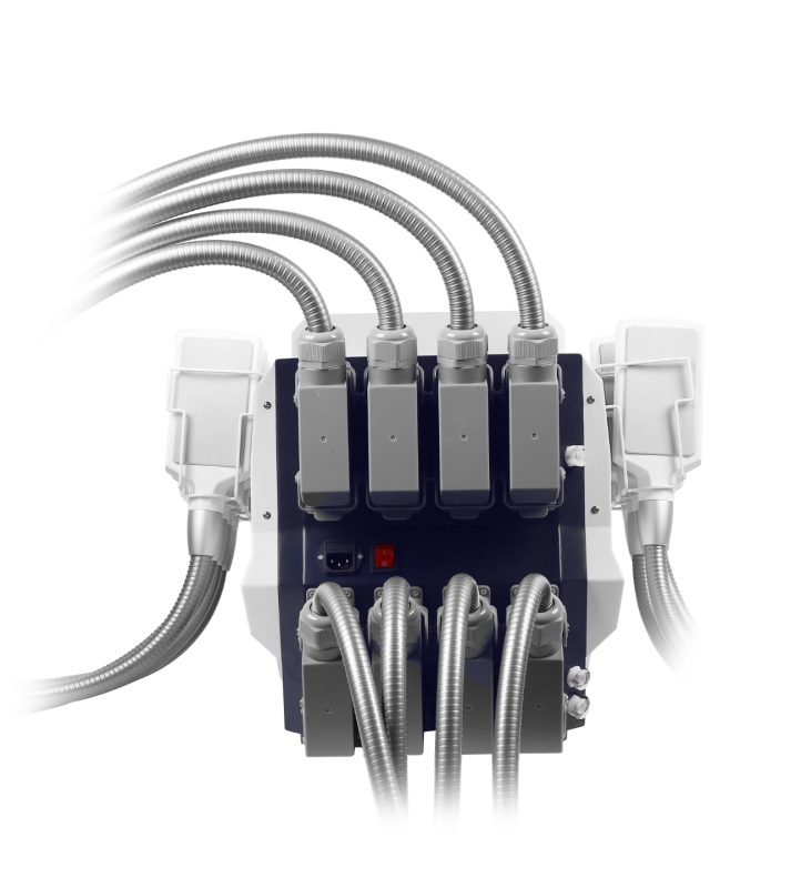 IceSculpting LaserRent 5