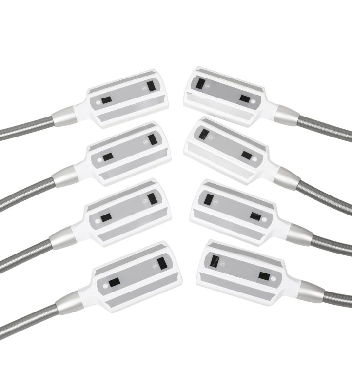 IceSculpting LaserRent 6