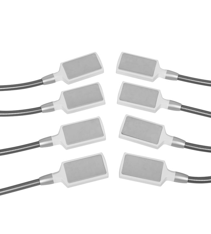 IceSculpting LaserRent 7